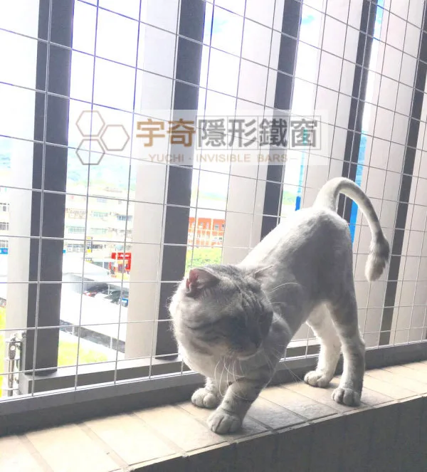防貓網為什麼一定要 25mm 間距